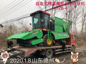 发往山东德州的自走式穗茎兼收玉米收获机(ji)
